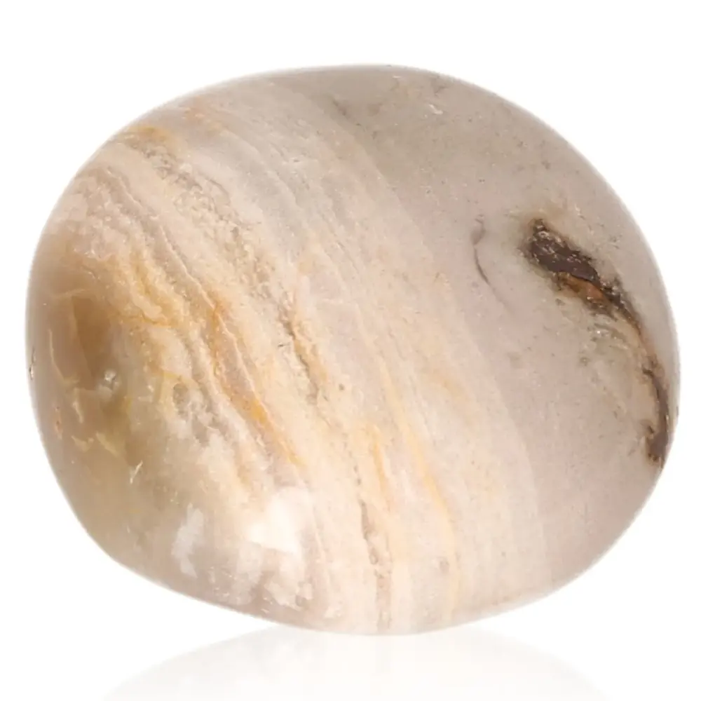 Tumbled Petrified wood 075619