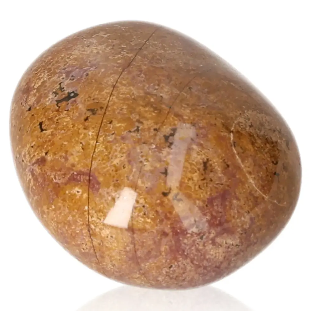 Tumbled Petrified wood 075626