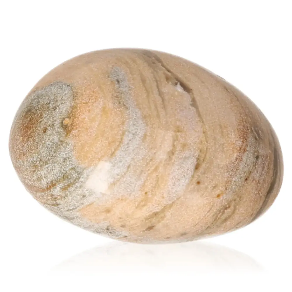 Tumbled Petrified wood 075664