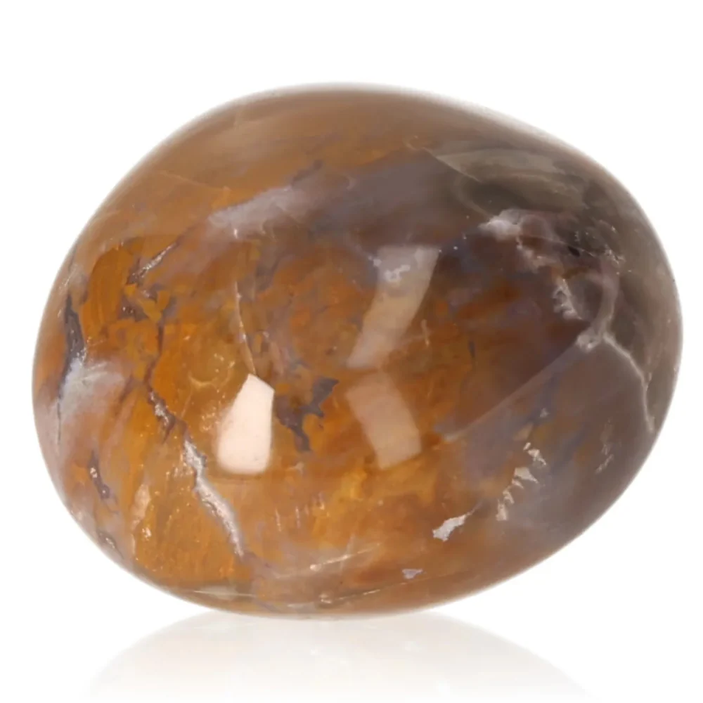 Tumbled Petrified wood 075671 - Image 2