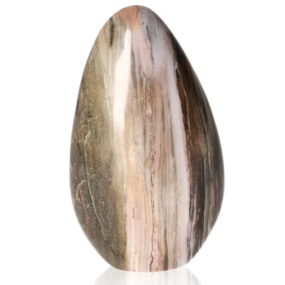 Petrified wood Free Form 068017