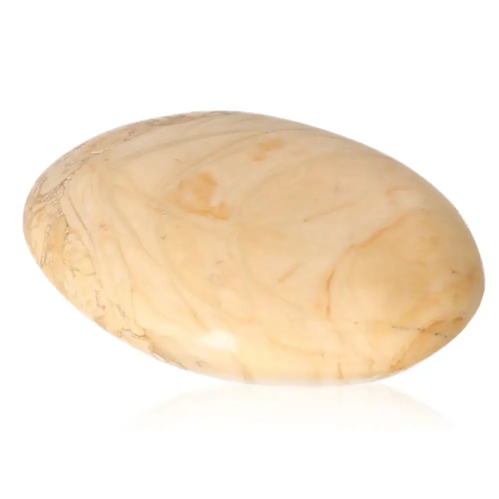 Tumbled Petrified wood 075541