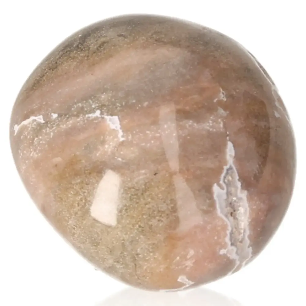 Tumbled Petrified wood 075565