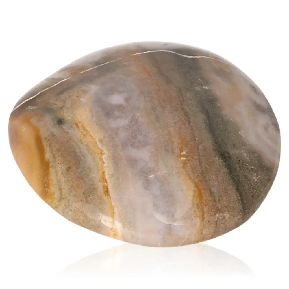 Tumbled Petrified wood 075589