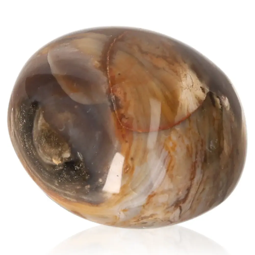 Tumbled Petrified wood 075596