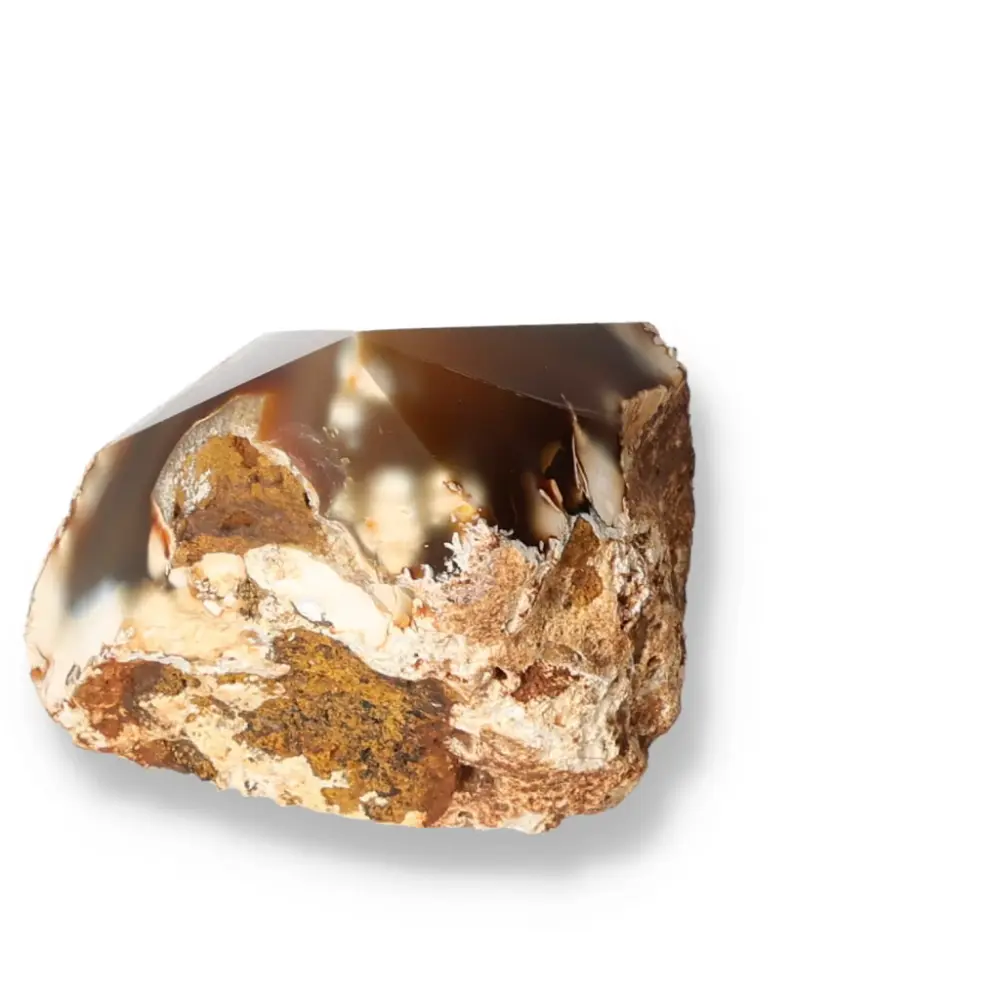Polished Agate Point Light brown with cream and beige accents 573283