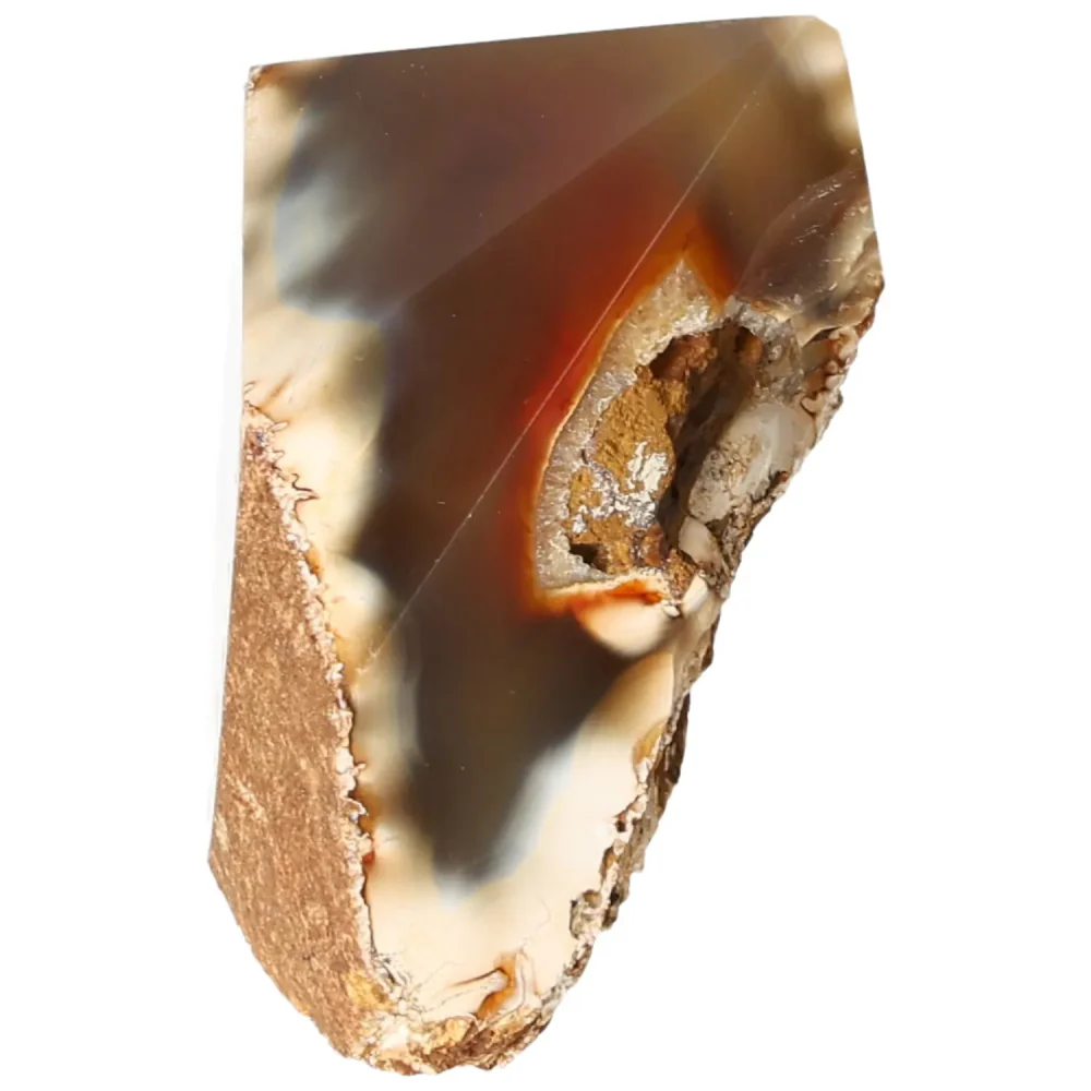 Polished Agate Point Light brown with cream and beige accents 573283 - Image 11