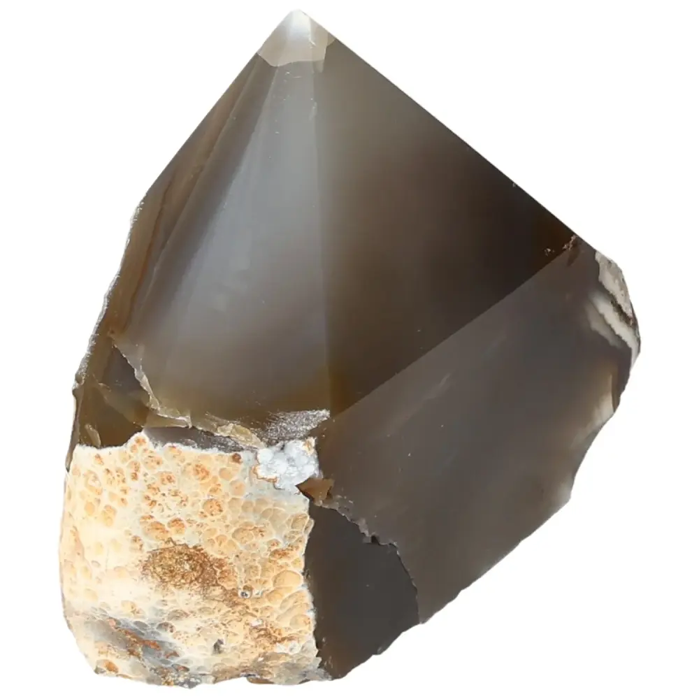 Polished Agate Point Light gray with cream and beige accents 573634 - Image 5