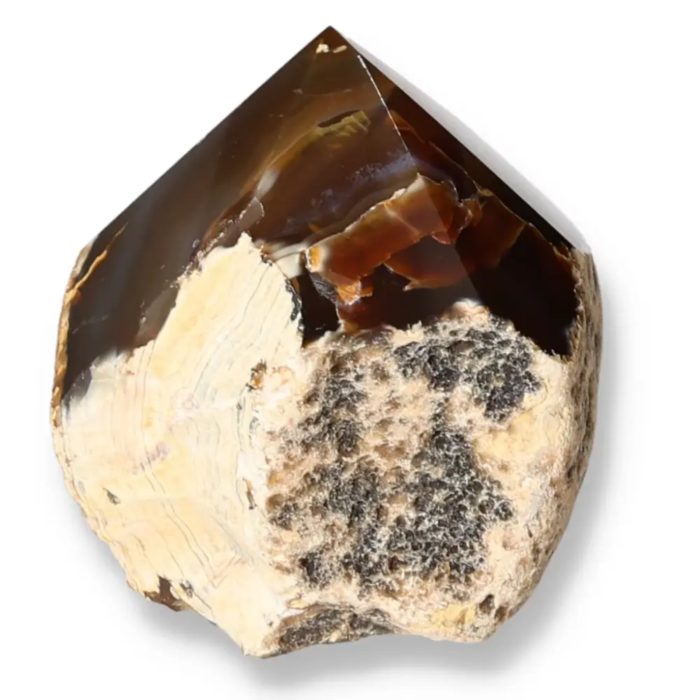 Polished Agate Point Brown with cream and dark gray accents 573337
