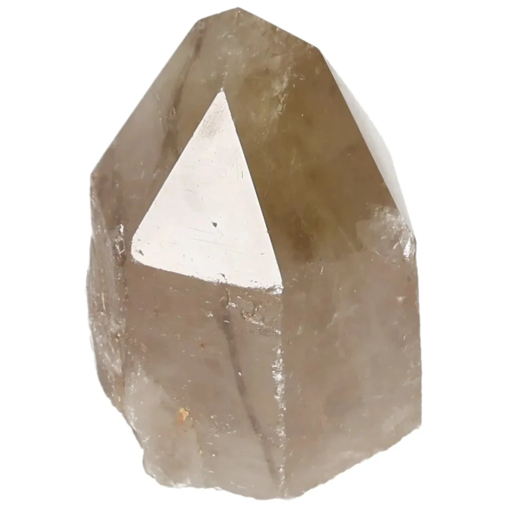 Polished Smoky Quartz Point 570664 - Image 13