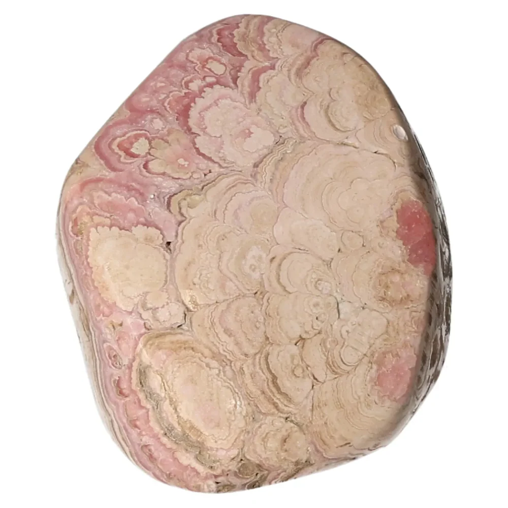 Polished Rhodochrosite 560467 - Image 4