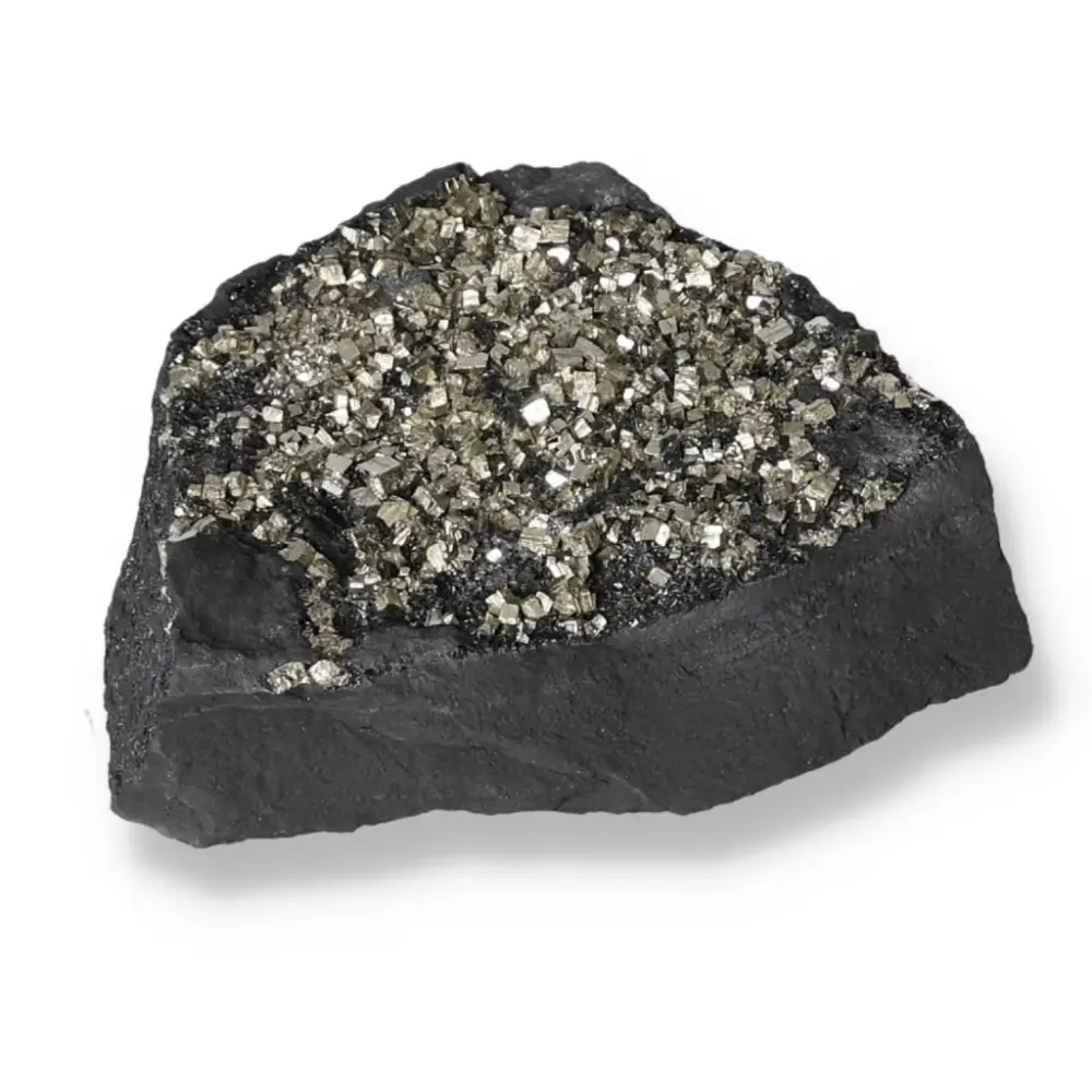 Pyrite with Shale 569392