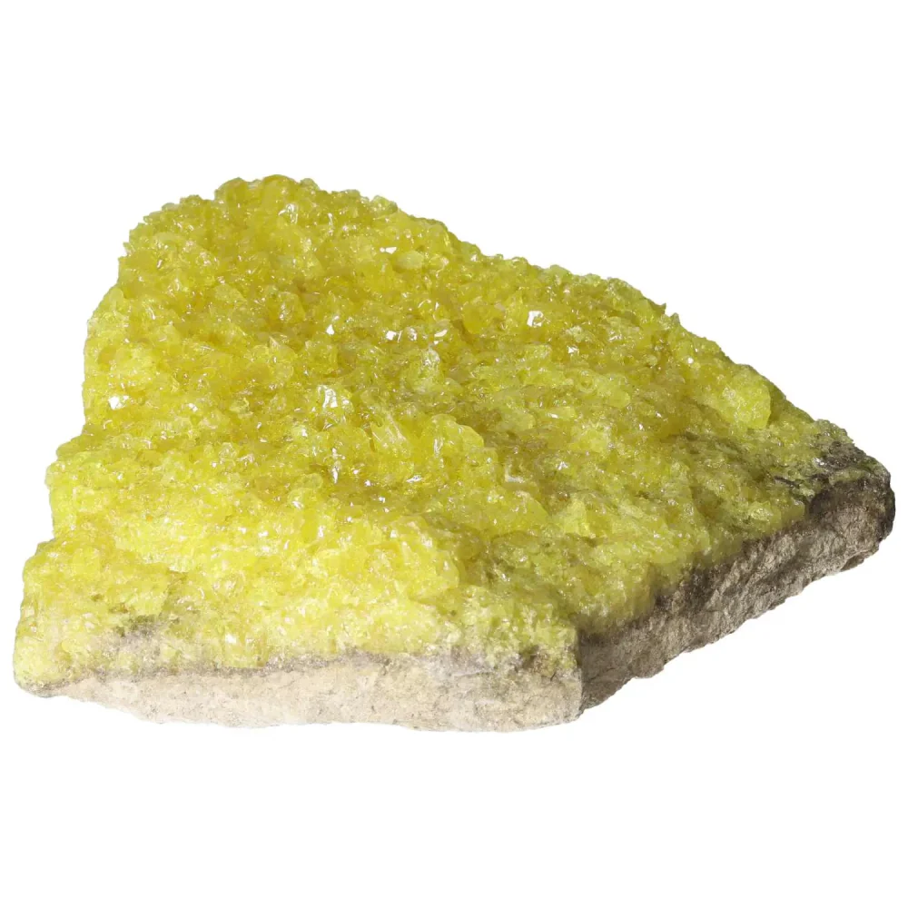 Rough Sulphur Druze 569019 - Image 15