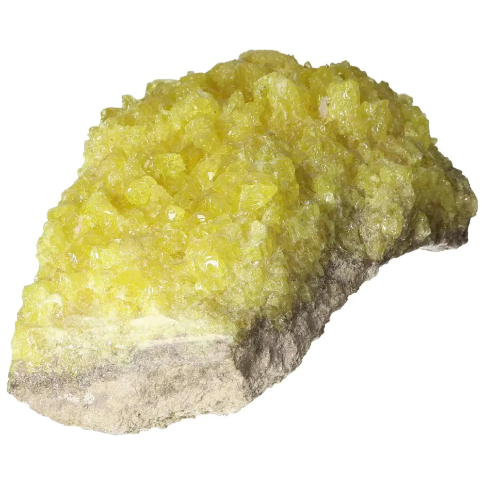 Rough Sulphur Druze 569026 - Image 15