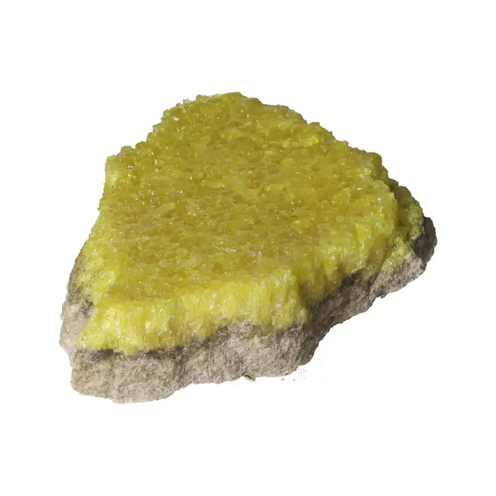 Rough Sulphur Druze 569057