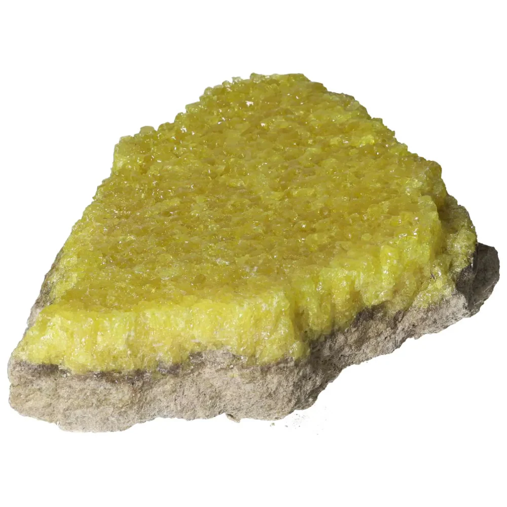 Rough Sulphur Druze 569057 - Image 15