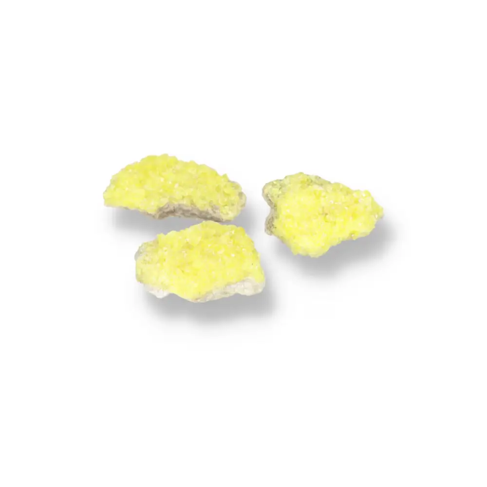 Rough Sulphur Druze M 560146