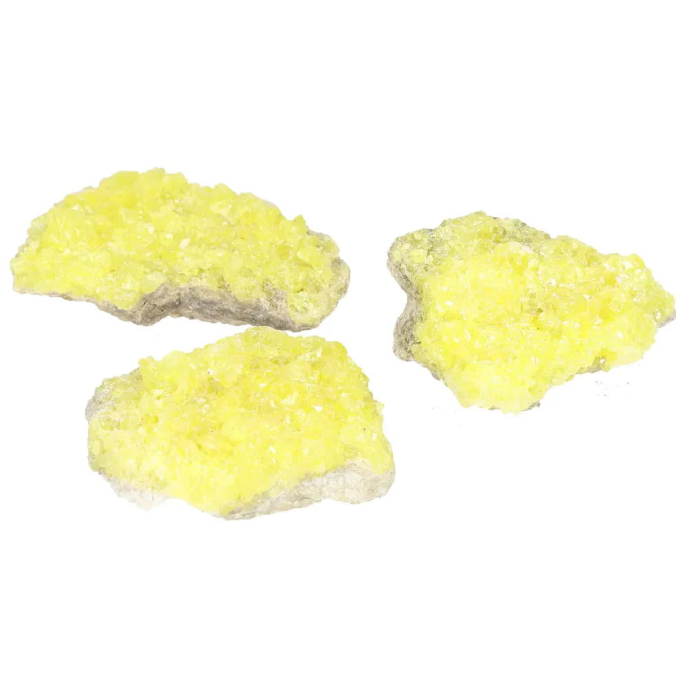 Rough Sulphur Druze M 560146 - Image 4