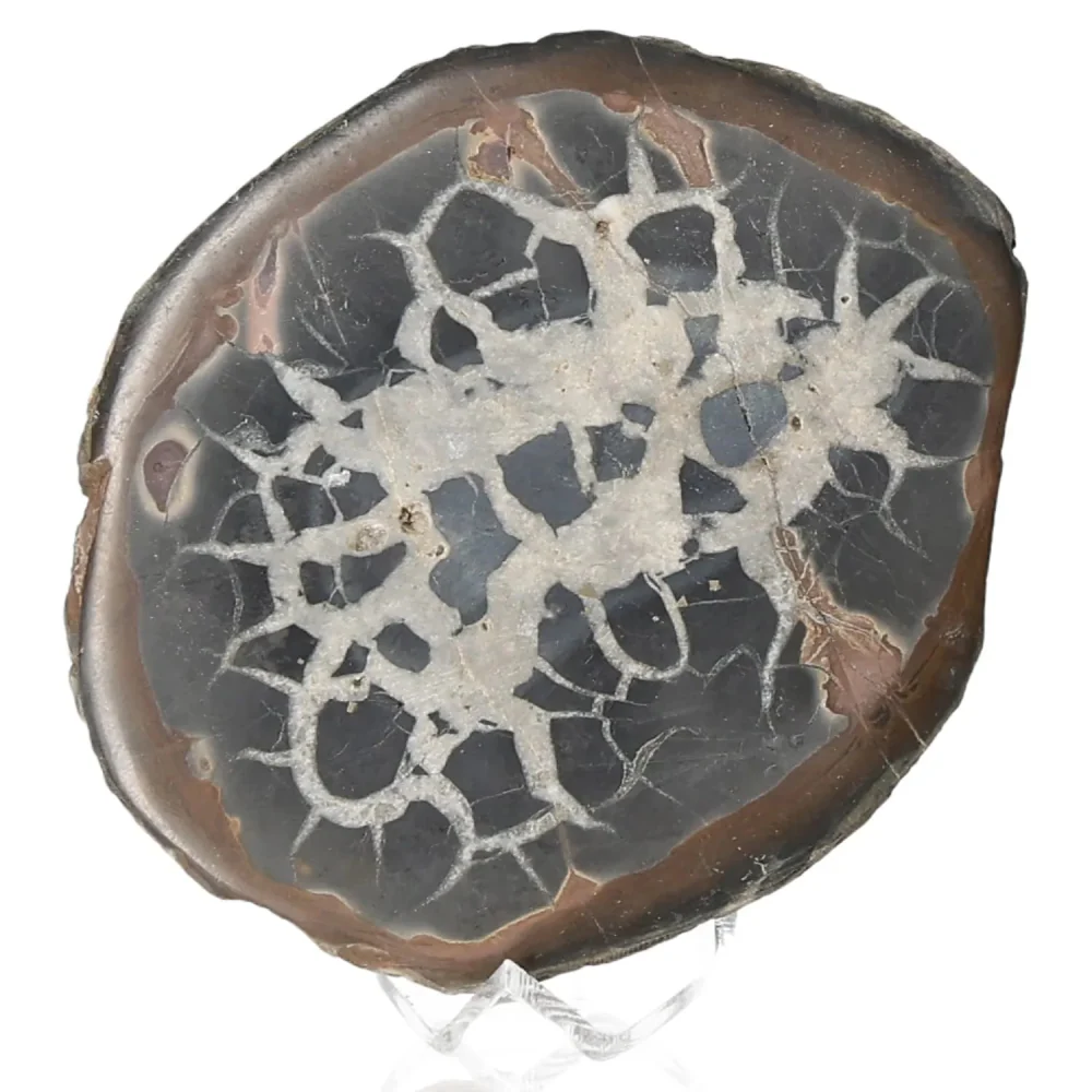 Septarian 042444 - Image 2