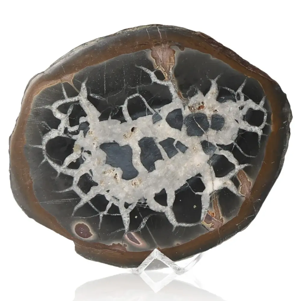 Septarian 042451