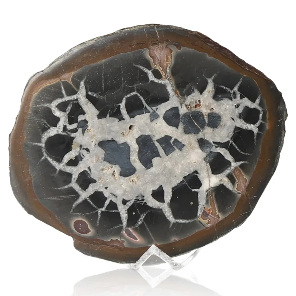 Septarian 042451 - Image 2