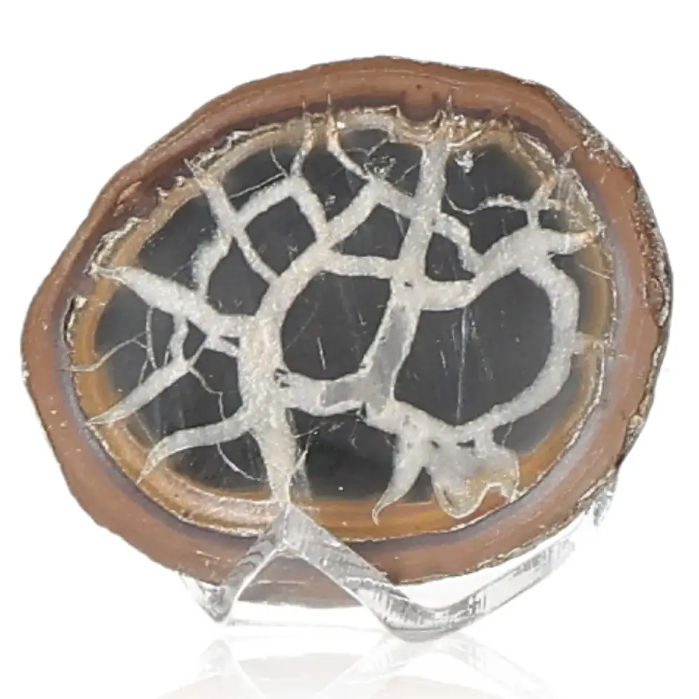 Septarian 042468