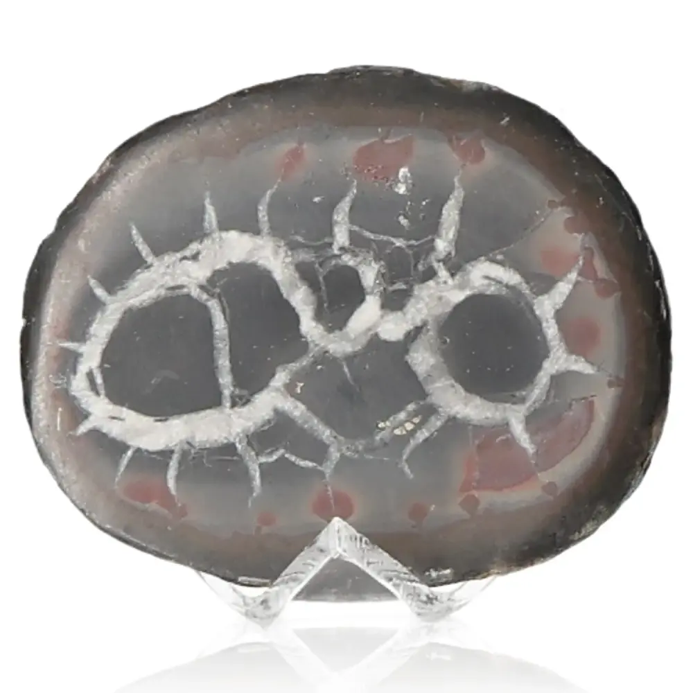 Septarian 042475
