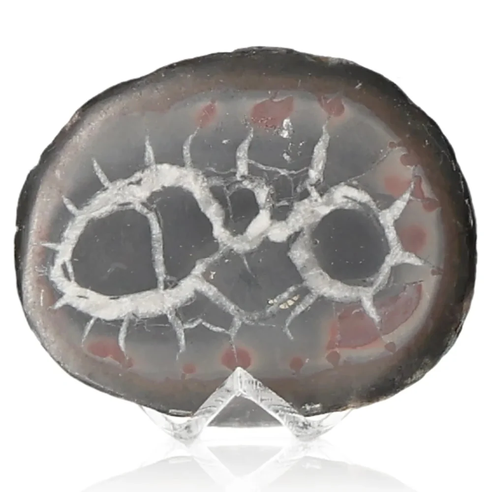 Septarian 042475 - Image 2