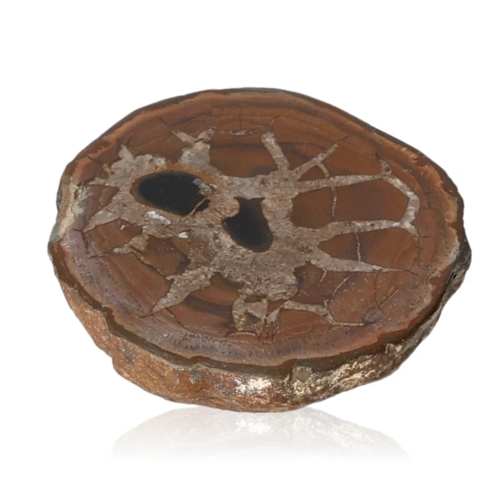 Septarian 044837 - Image 2