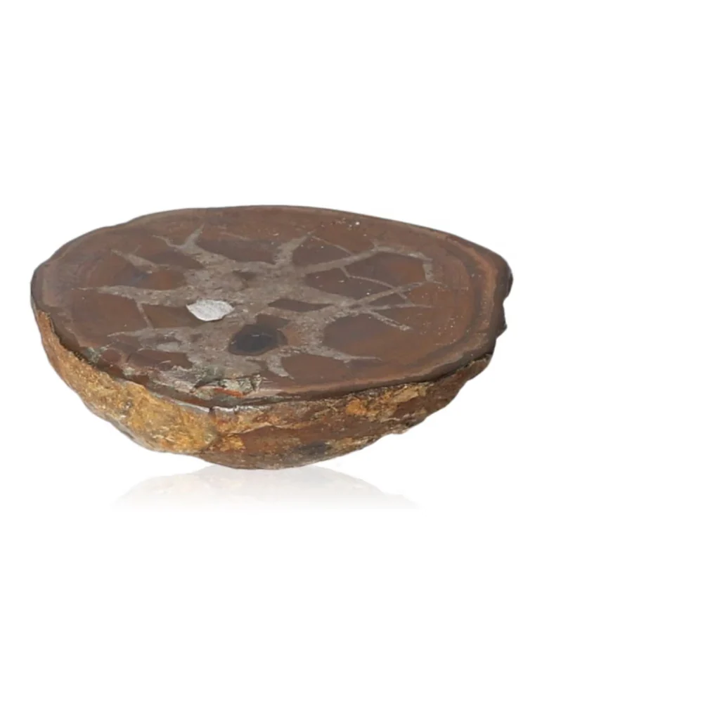 Septarian 044851 - Image 2