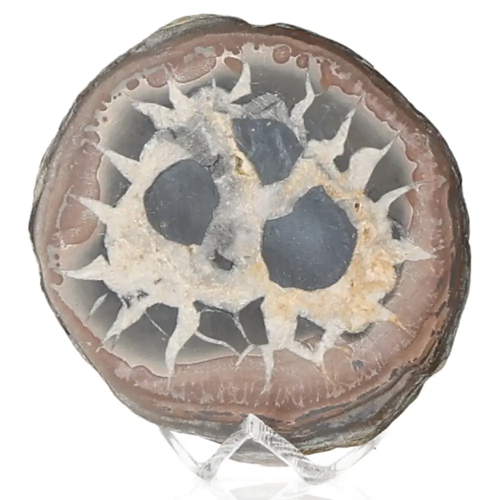 Septarian 042178
