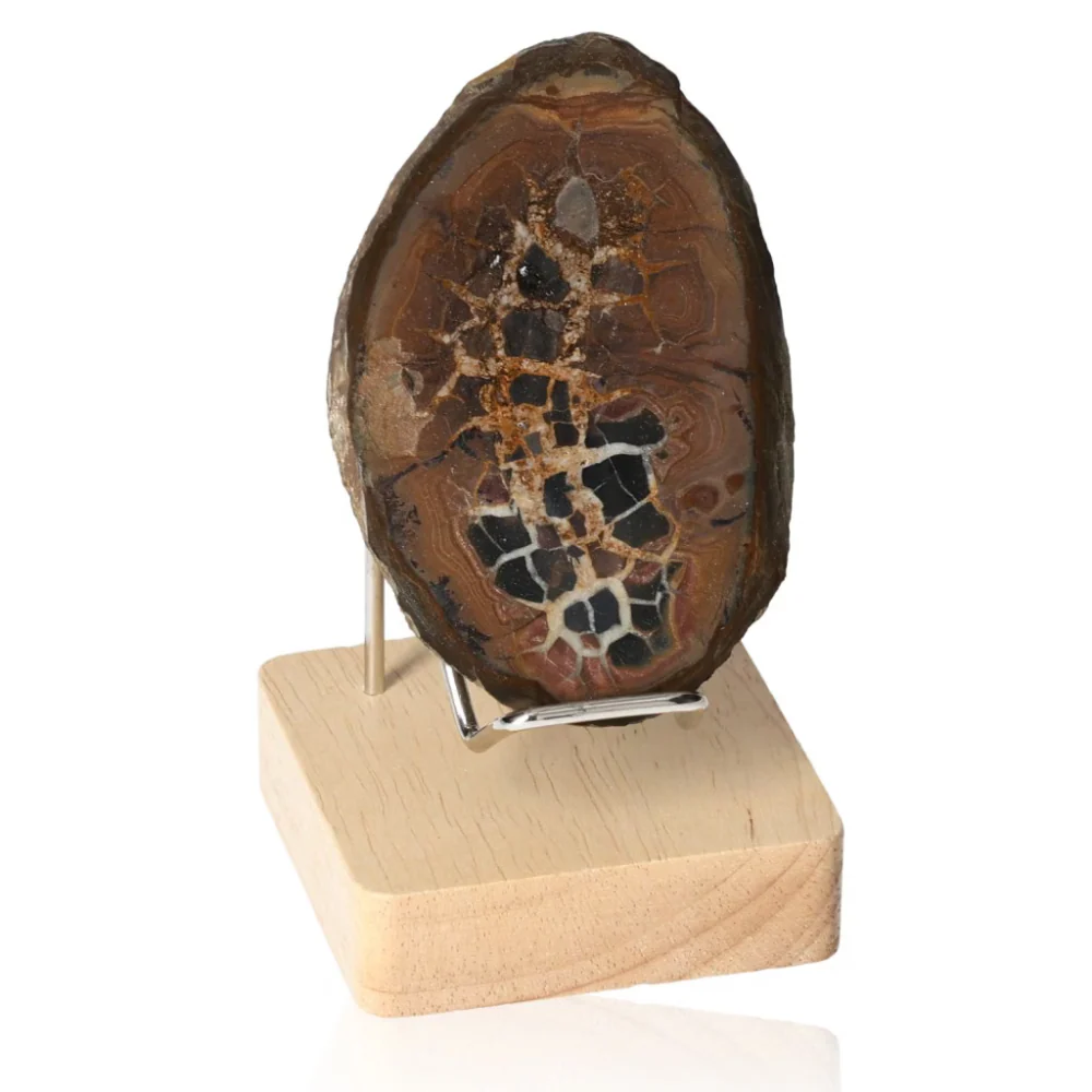 Septarian 046336 - Image 2