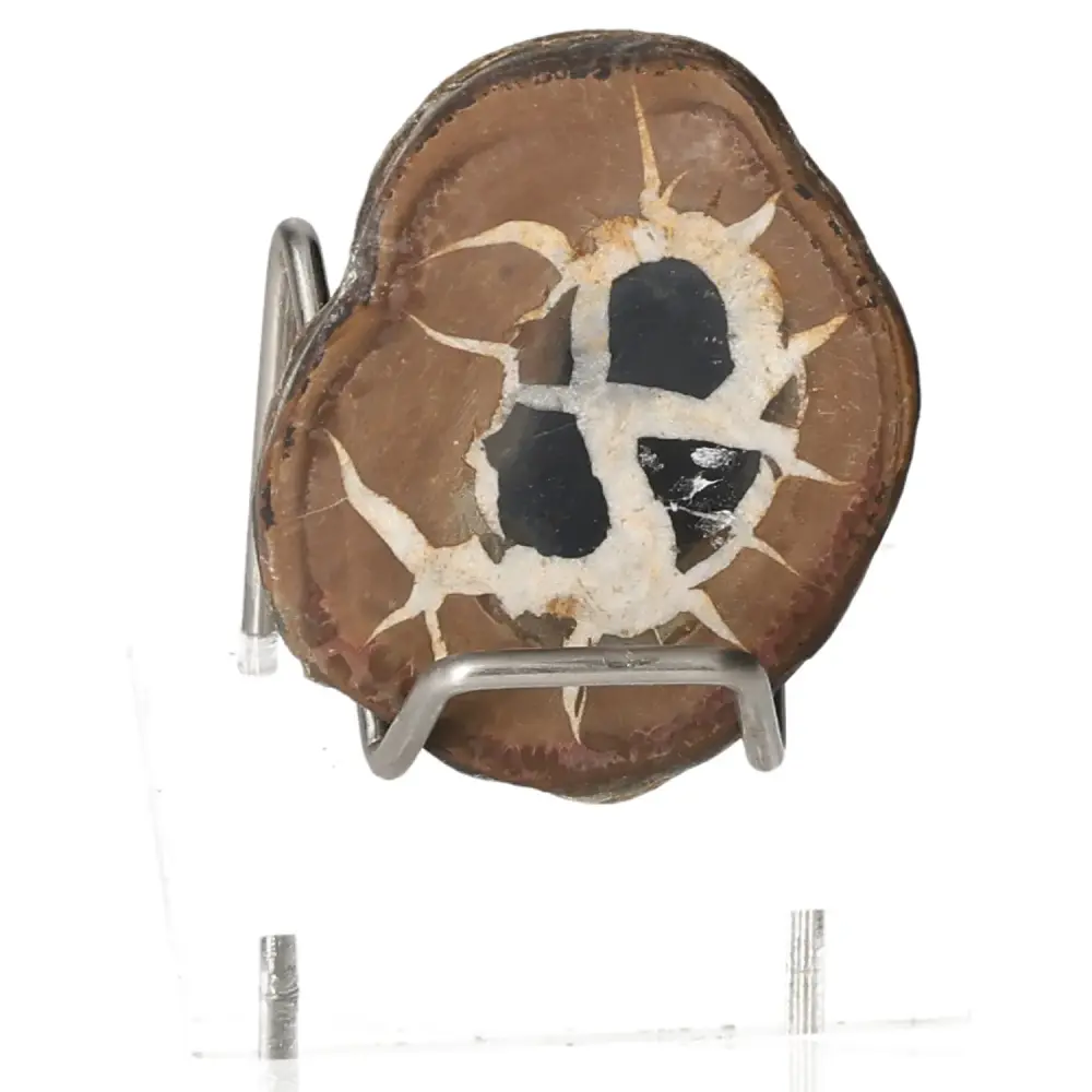Septarian 046466
