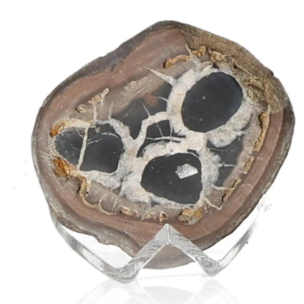 Septarian 042185 - Image 2