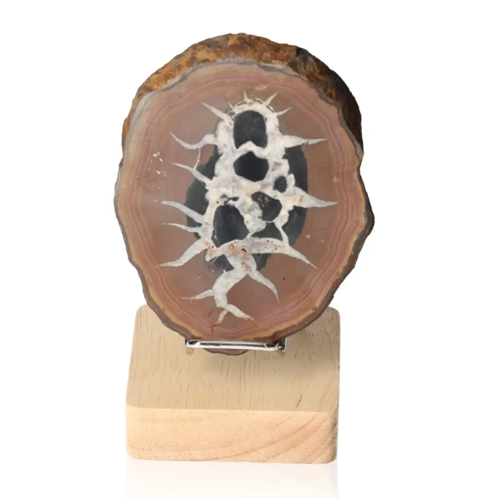 Septarian 046763
