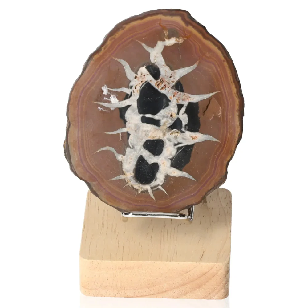 Septarian 046770 - Image 2