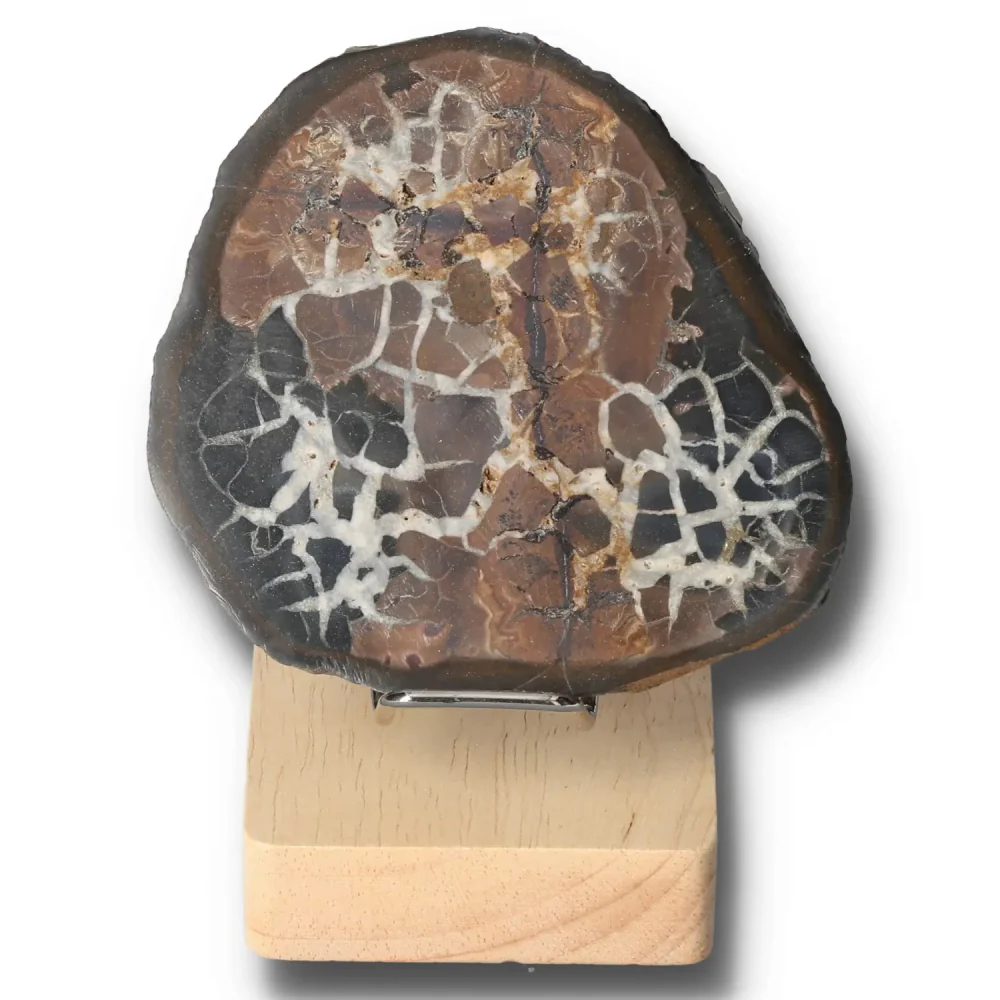 Septarian 048897 - Image 2