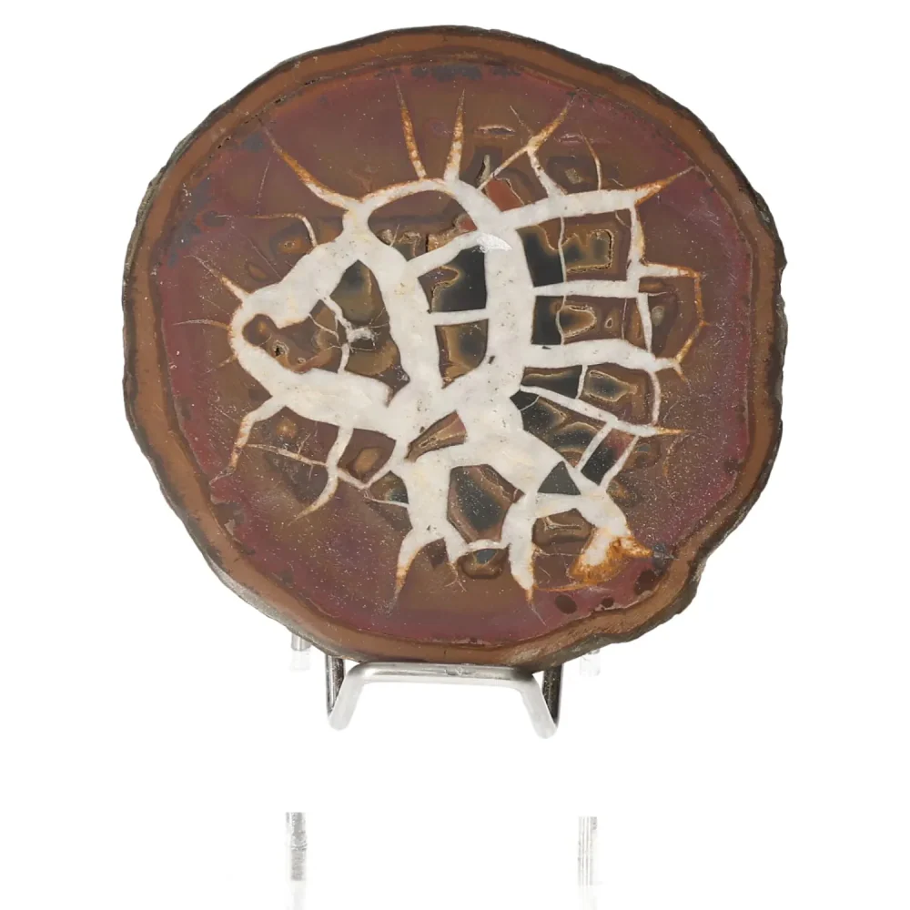 Septarian 048941 - Image 2