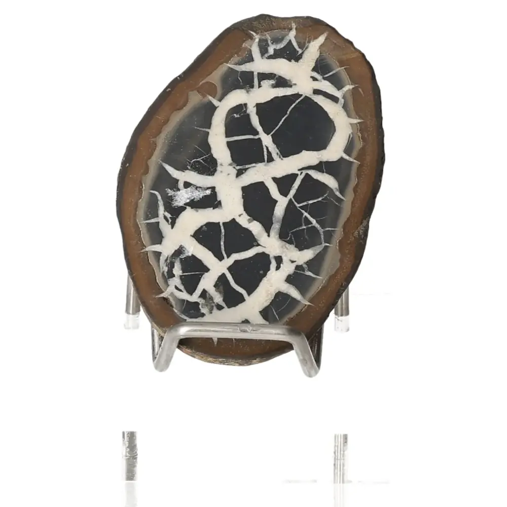 Septarian 048958