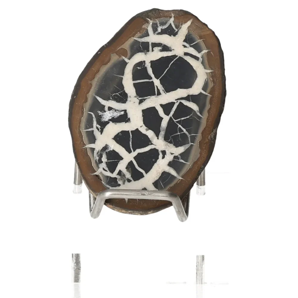 Septarian 048958 - Image 2
