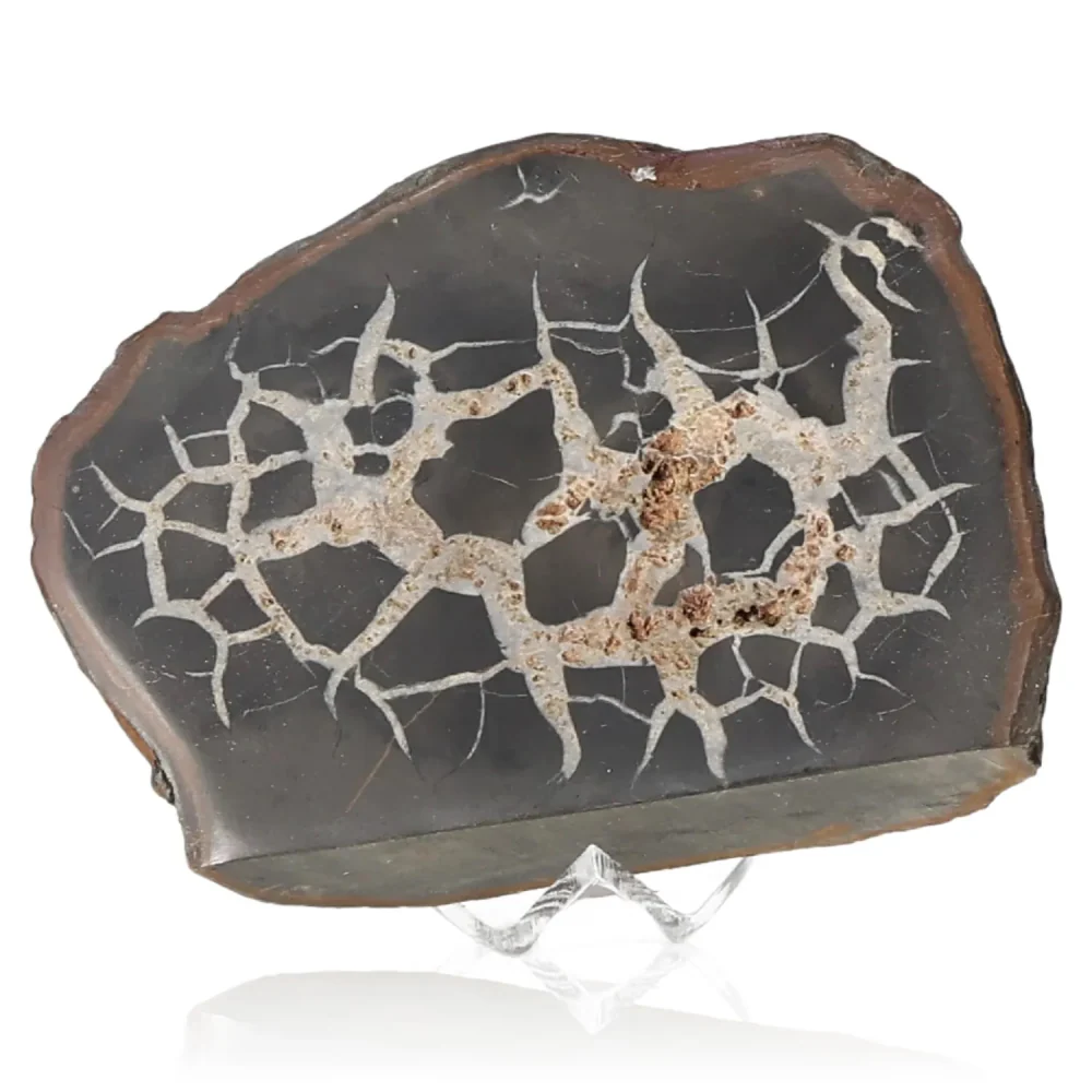 Septarian 042420 - Image 2