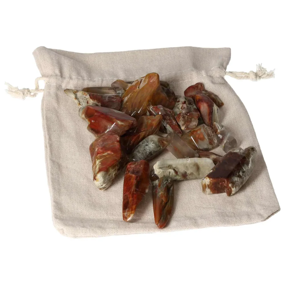 Tumbled Lodolite 575096 - Image 16