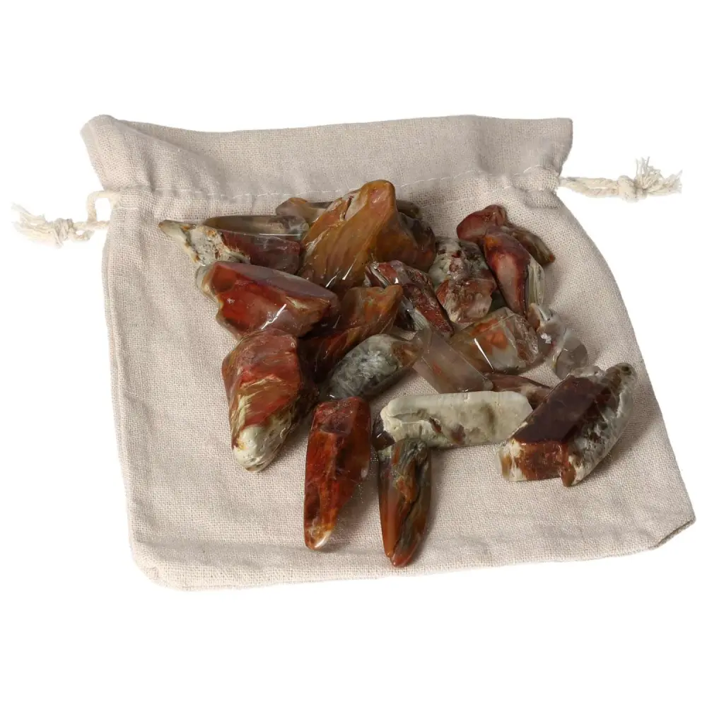 Tumbled Lodolite 575096 - Image 8