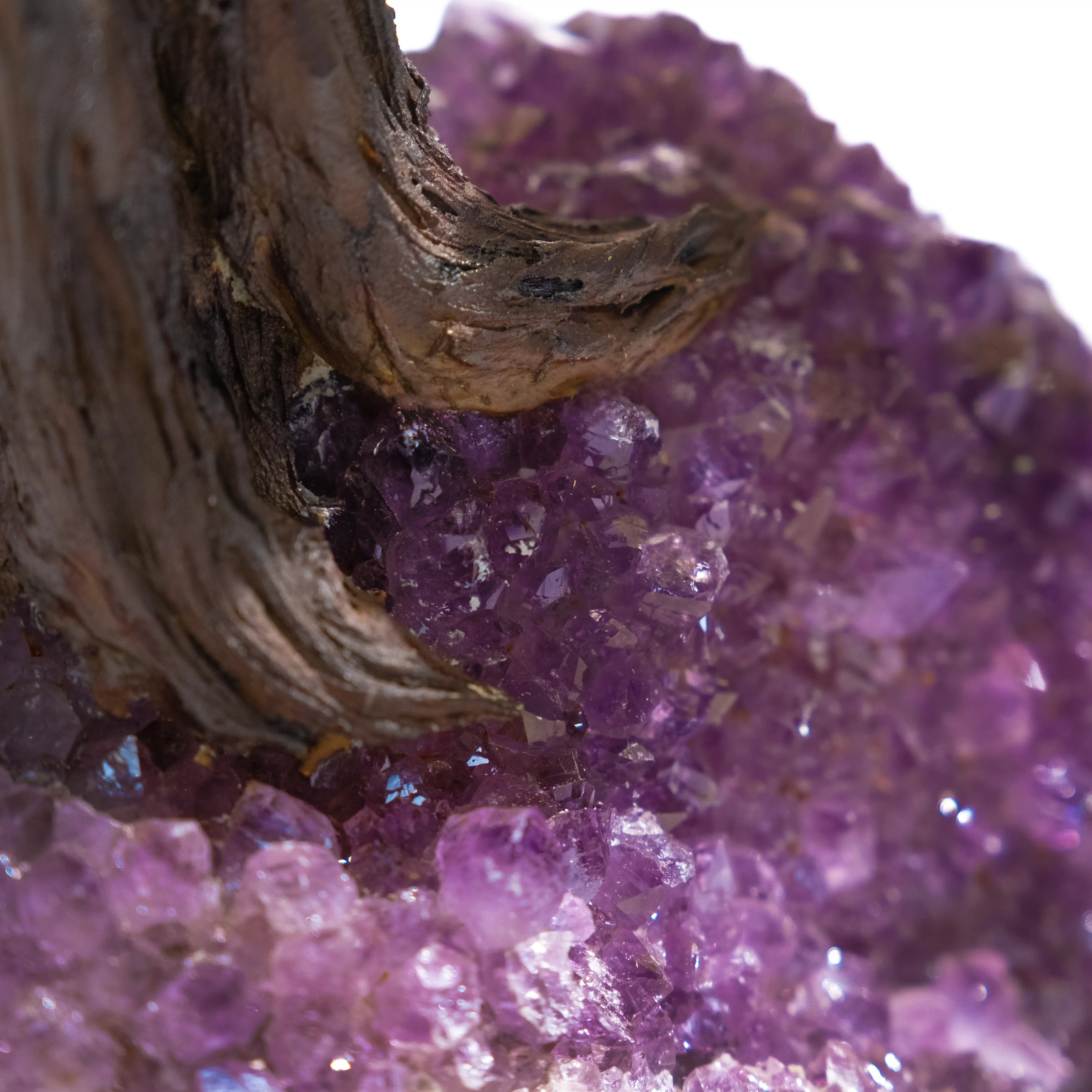 Tumbled Citrine Tree 55cm 558723 - Image 5