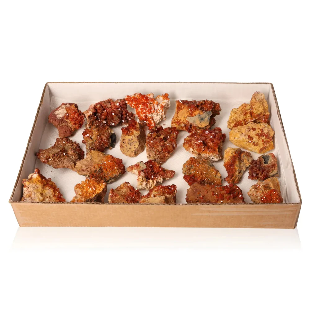 Vanadinite Small Druzes Collection 539517 - Image 3
