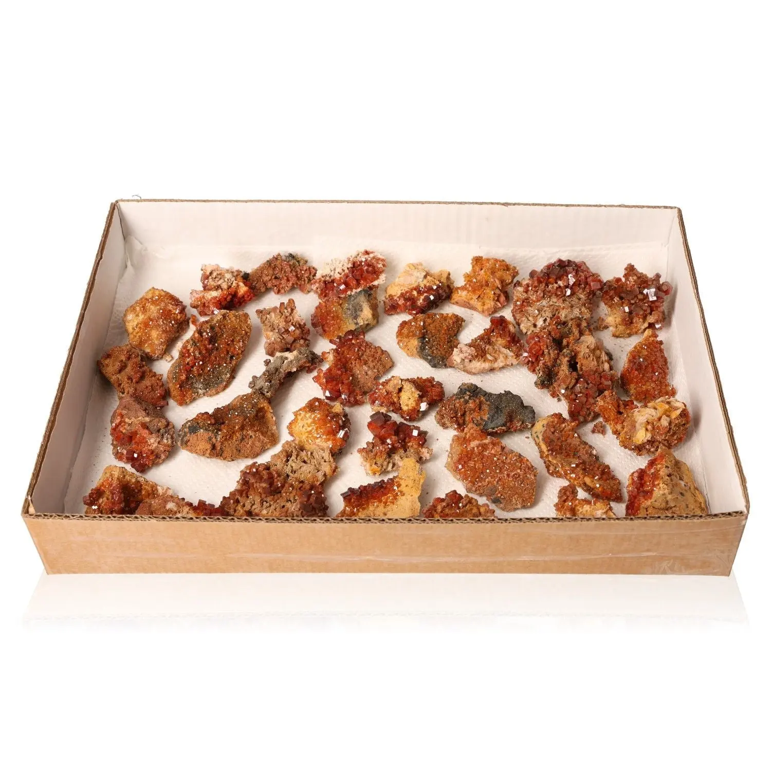 Vanadinite Small Druzes Collection 539524
