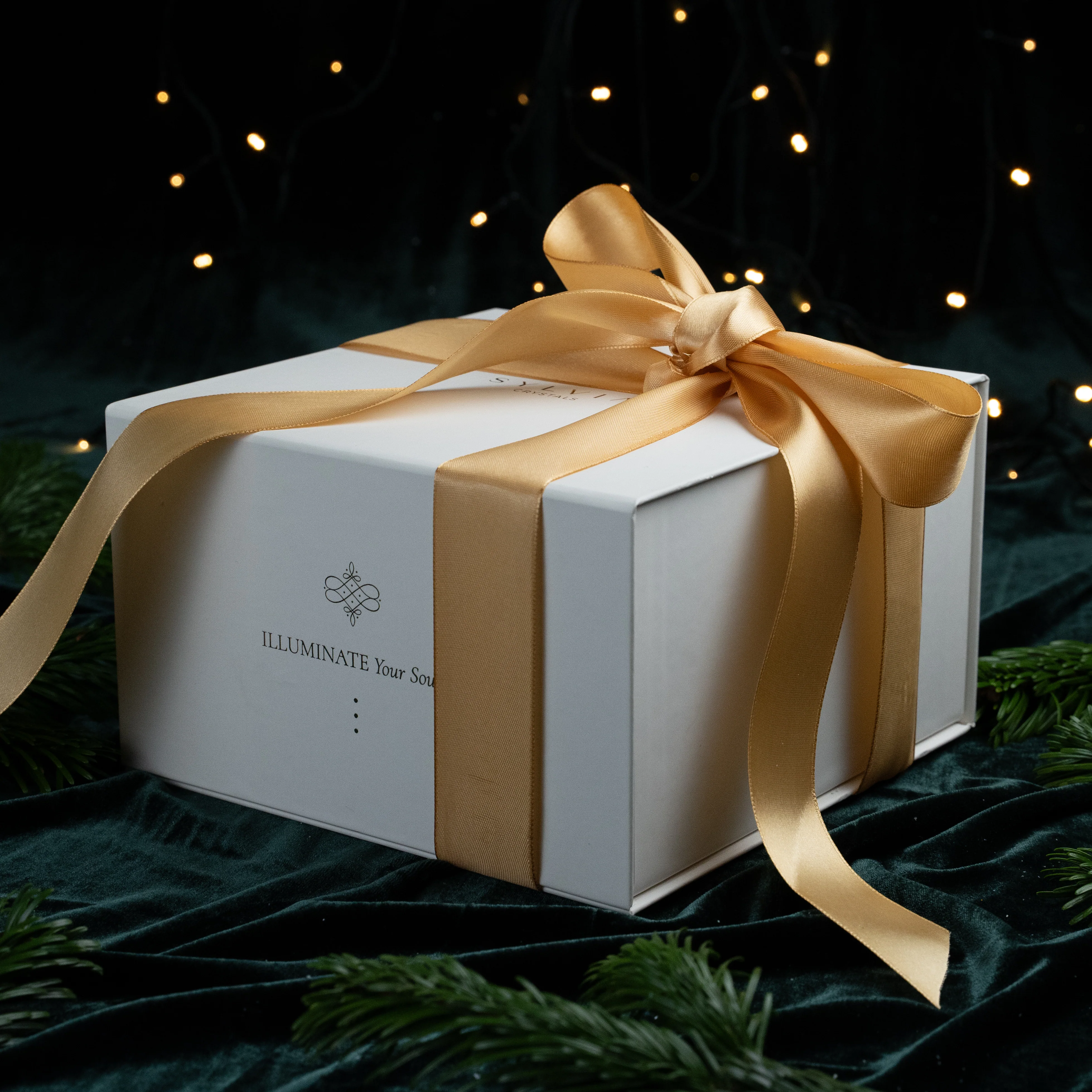 EQUILIBRIUM Premium Box 880031 - Image 3